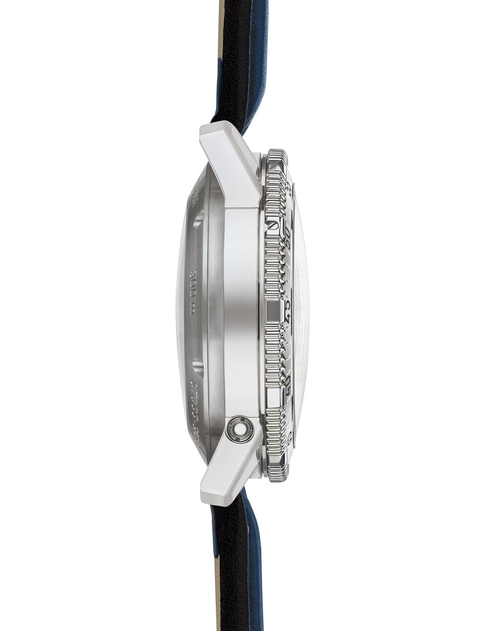 Sinn watch - 206 ARKTIS II - Leather strap