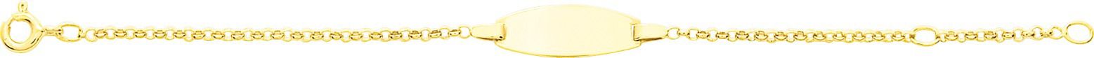 Gourmette en or 9ct plaque ovale 446J241