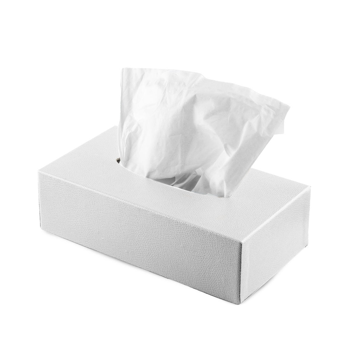 Leather tissue box - Grained calfskin